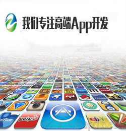 武汉高端定制网站建设App开发软件外包公司
